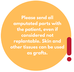 Please send all amputated parts with the patient, even if not considered replantable. Skin and other tissues can be used as grafts.