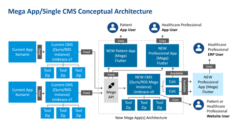 Infographic showing links between patient app user, healthcare professional app user, healthcare professional ERP user, patient or healthcare professional website user and the system architecture