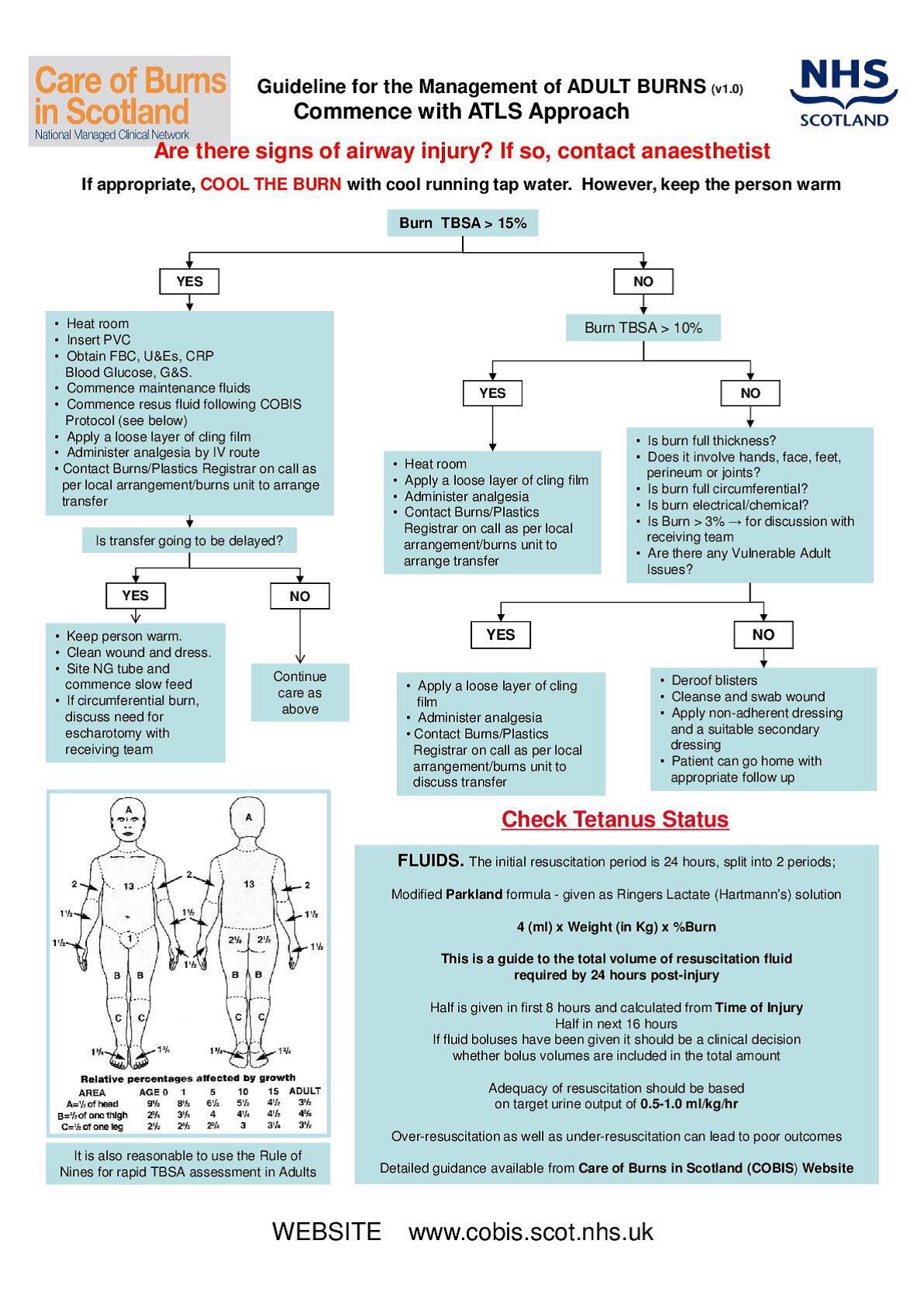 Guideline for the Management of ADULT BURNS (v1.0) - Care of Burns in Scotland National Managed Clinical Network