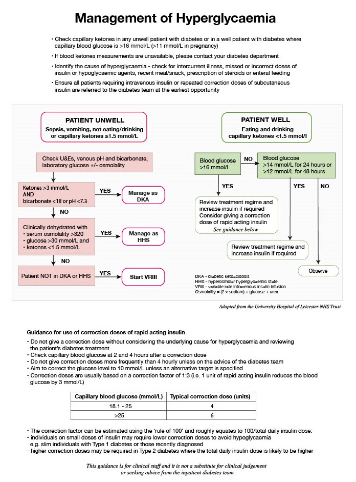 Management of Hyperglycaemia flowchart